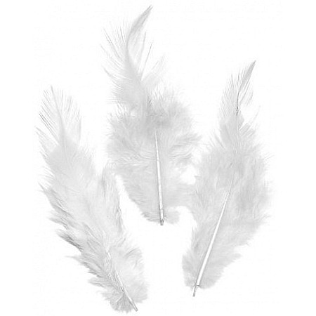 HOBBY - KP PENE DECOR COCOS 10CM 16/SET ALB 6621007