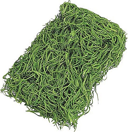 KP IARBA DECOR 20GR  VERDE 6692478 [1]