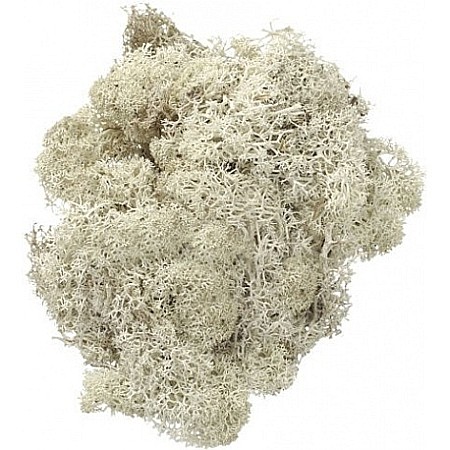 Materiale de Baza pentru Decoratiuni Craciun - KP MUSCHI 50GR ALB 6694977