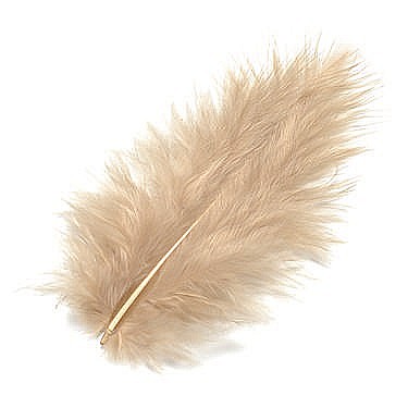 HOBBY - KP PENE DECOR MARABOU 10CM 15/SET NISIPIU 6619533