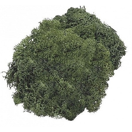 Materiale de Baza pentru Decoratiuni Craciun - KP MUSCHI 50GR VERDE ISLANDA INCHIS 6694462