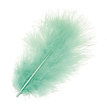 Pene - KP PENE DECOR MARABOU 10CM 15/SET TURCOAZ 6619380