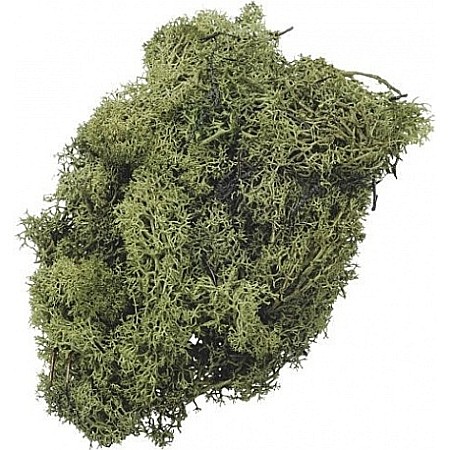 Materiale de Baza pentru Decoratiuni Craciun - KP MUSCHI 50GR VERDE ISLANDA 6694446