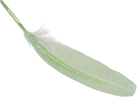 HOBBY - KP PENE DECOR GASCA 16-21CM 8/SET VERDE MAI 6620434