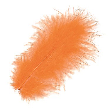 Pene - KP PENE DECOR MARABOU 10CM 15/SET PORTOCALIU 6619100