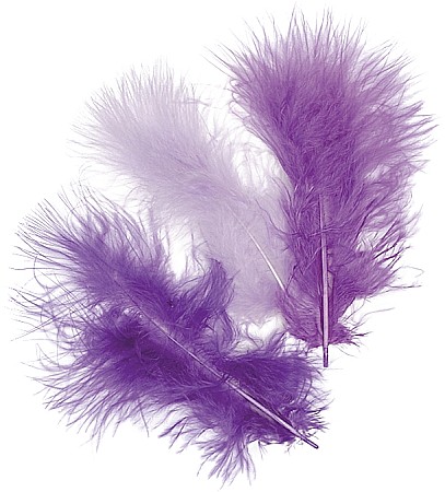 HOBBY - KP PENE DECOR MARABOU 10CM 15/SET MIX MOV 6619931