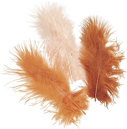 HOBBY - KP PENE DECOR MARABOU 10CM 15/SET MIX CAFENIU 6619956