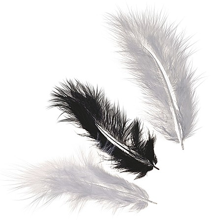 HOBBY - KP PENE DECOR MARABOU 10CM 15/SET MIX NEGRU 6619961