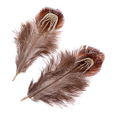 HOBBY - KP PENE DECOR FAZAN 3-9CM 1.5G NATUR 6617982