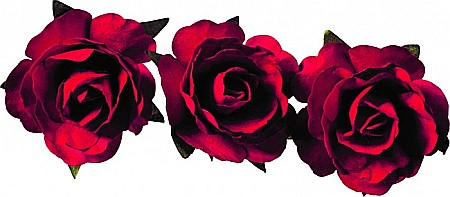 KP TRANDAFIRI HARTIE 2.5CM 12/SET ROSU 7611011 [2]