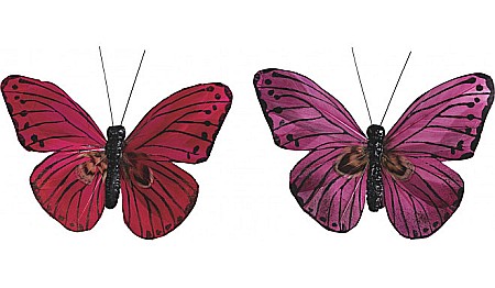 HOBBY - KP FLUTURE 7*9CM 2/SET ROSU, ROZ 8030908