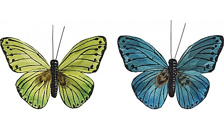 HOBBY - KP FLUTURE 7*9CM 2/SET VERDE, ALBASTRU 8030909