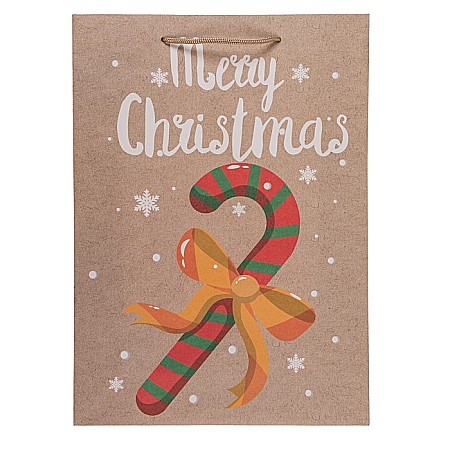 BLU SACOSA CADOU 25*8.5*34.5CM CHRISTMAS WARMS 160106 [2]