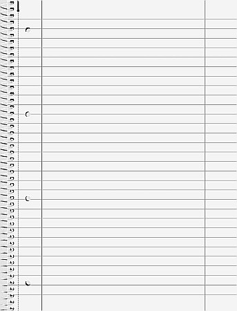 BR CAIET A4 80F SPIRA SI PERFORATII METALIC LINII 6732795 [1]