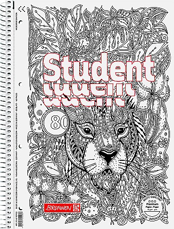 Caiete scolare - BR CAIET A4 80F SPIRA SI PERFORATII DOTS 6792902