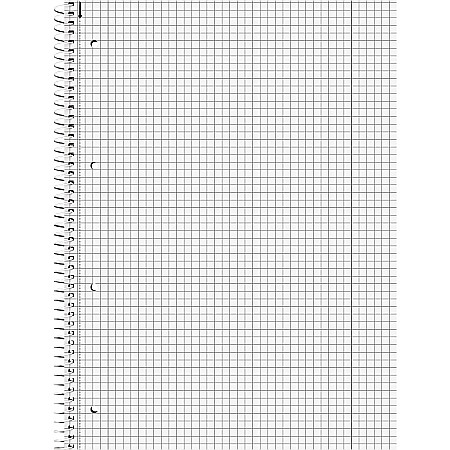 BR CAIET A4 80F SPIRA SI PERFORATII ROSU TULIP PATRATELE 67928125 [1]