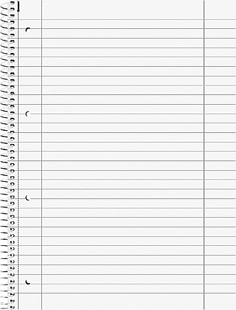 BR CAIET A4 80F SPIRA SI PERFORATII PASTEL II LINII 6732794 [2]