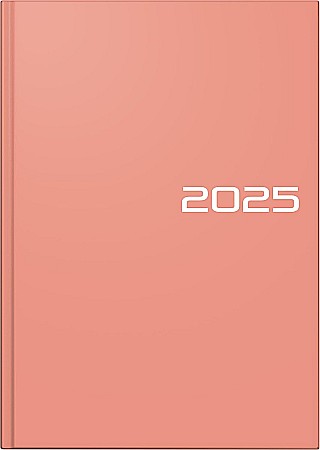 AGENDE, CALENDARE, PLANNERE - BR AGENDA DATATA ZILNIC BRUNNEN A5 2025 BALACRON SOMON 79561065