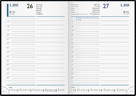 BR AGENDA DATATA ZILNIC BRUNNEN A5 2025 COPERTA CARTON CANEPA 79863015 [1]
