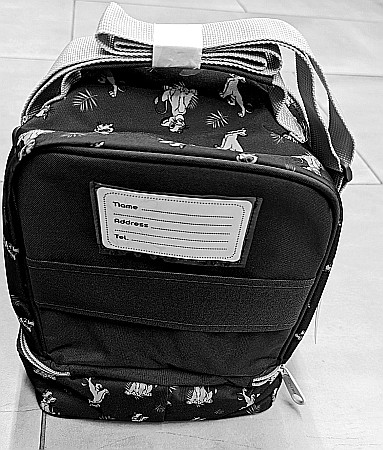 DIA GEANTA IZOTERMA MUST 24*12*20CM ASTRONAUT 584713 - promo [1]