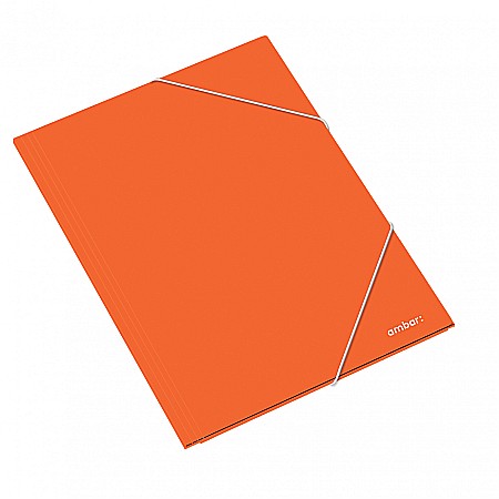 AM DOSAR CARTON CU ELASTIC A3 DIVERSE CULORI 163825 [3]