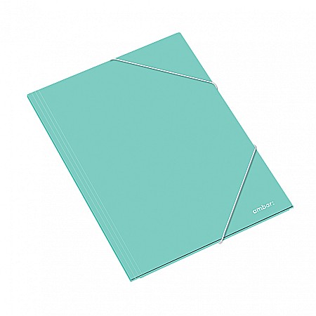 AM DOSAR CARTON CU ELASTIC A3 DIVERSE CULORI 163825 [5]