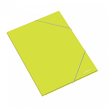 AM DOSAR CARTON CU ELASTIC A3 DIVERSE CULORI 163825 [6]