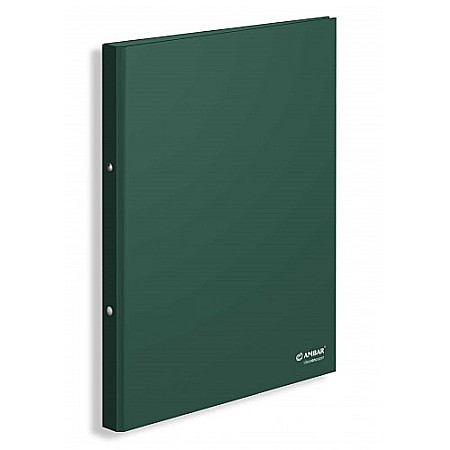 ORGANIZARE SI ARHIVARE - AM CAIET MECANIC IDEAS A4 20 MM 2 INELE VERDE 180907
