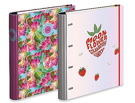 AM CAIET MECANIC A4 TEEN MOON 4 INELE, ELASTIC, REZERVA LINII, SEPARATOARE CARTON 228708 [0]