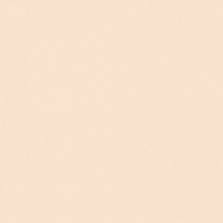 CC PLASTILINA MATASOASA 79111 40G NUDE [1]