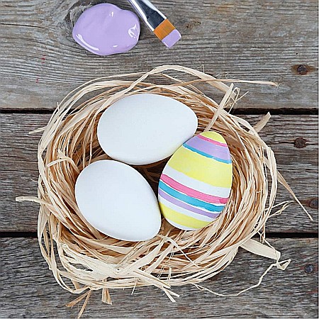 CC OUA PLASTIC COFRAG 12/SET 6CM PASTE 51024 [4]