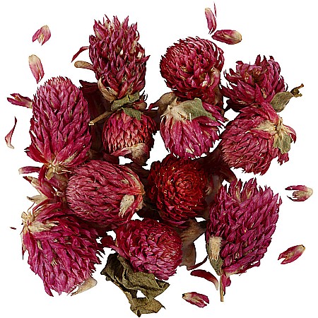 HOBBY - CC FLORI NATURALE USCATE TRIFOI ROSU 709502