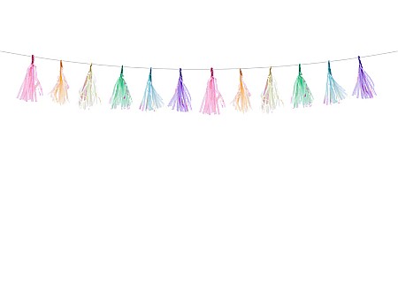 Bannere/ Ghirlande/ Cordoane - PD GHIRLANDA CU CIUCURI, Tassel garland, mix 1.2m TGA1-000