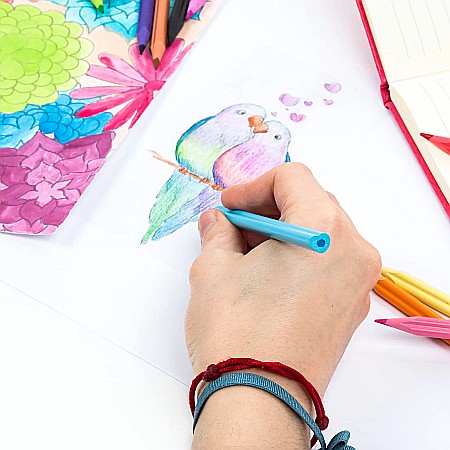 DE CREIOANE COLORATE 12/SET FORMA INIMA KIDEA KS12KKA [1]