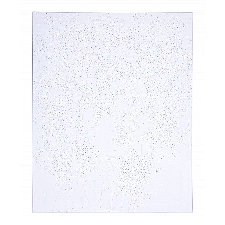 AS PANZA PICTURA PE NUMERE 40*50CM CU VOPSELE SI PENSULE, PORTRET IN FLORI 801022904 [5]