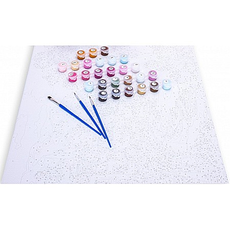 AS PANZA PICTURA PE NUMERE 40*50CM CU VOPSELE SI PENSULE, PRIMABALERINA 801023903 [4]