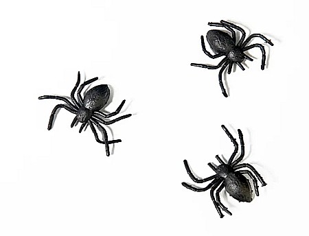 PD PAIANJEN PLASTIC 3*3CM 10/SET NEGRU PHK10 [3]