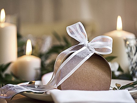 PD BANDA CHIFFON Ribbon chiffon, white, 25mm/25m TSZB25-008 [6]