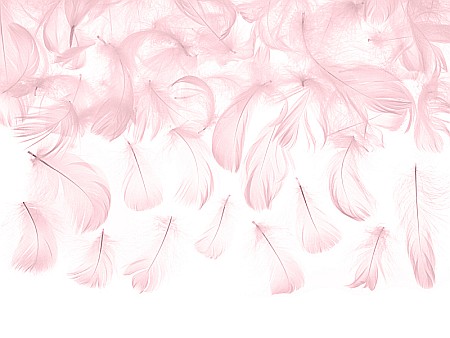 HOBBY - PD PENE ROZ DESCHIS  3g PD1-081J