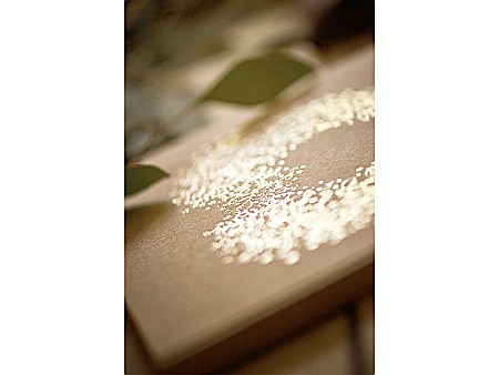 PD CARTE DE OASPETI 20.5*20.5CM 22F COPERTA KRAFT CU ORNAMENT AURIU KWAP48 [5]