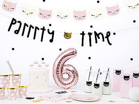 PD FARFURII CARTON Cat, 22x20cm 6/set TPP42 [4]