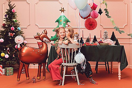 PD GHIRLANDA HARTIE Christmas, Mistletoe mix, 2m GL31 [2]