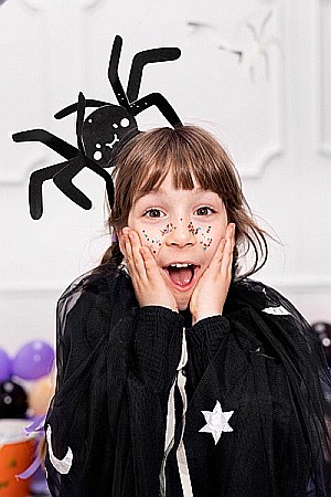 PD DECORATIUNI DIN HARTIE, Paper decoration Spiders, 27x17cm, black 5/set DNT10 [5]