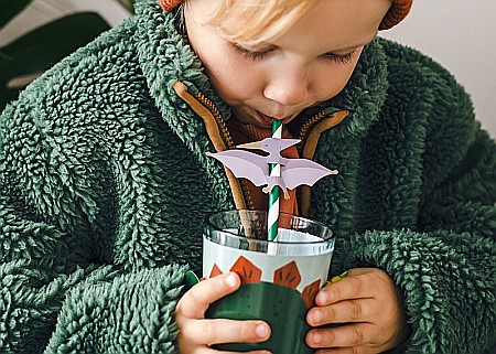 PD PAIE DIN HARTIE PENTRU BAUTURI Pterodactyl, 19.5cm 6/set NSL1 [1]