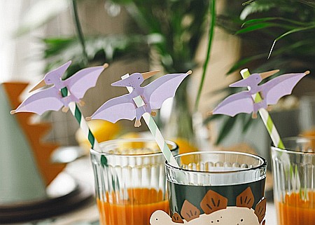 PD PAIE DIN HARTIE PENTRU BAUTURI Pterodactyl, 19.5cm 6/set NSL1 [2]