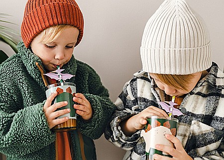 PD PAIE DIN HARTIE PENTRU BAUTURI Pterodactyl, 19.5cm 6/set NSL1 [3]