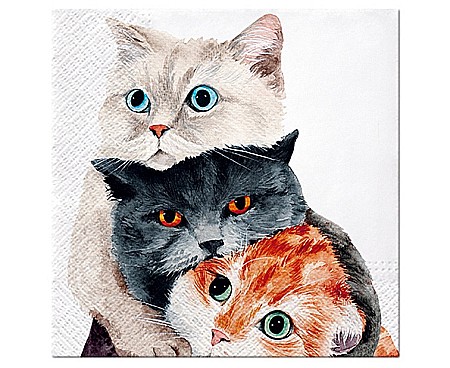 ARTICOLE PARTY - GOD SERVETELE PAW 33*33CM 20/SET BETTER TOGETHER SDL131500