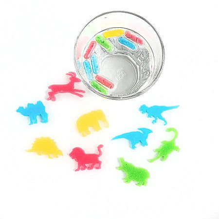 DE CAPSULE MAGICE CU ANIMALE SALBATICE CARE CRESC IN APA 12/SET KIDEA TKAZ12KA [1]