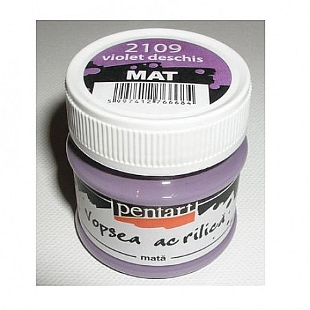 FINE ARTS&GRAPHICS - CA ACRIL PENTART 50ML  MAT VIOLET DESCHIS 6684/1308