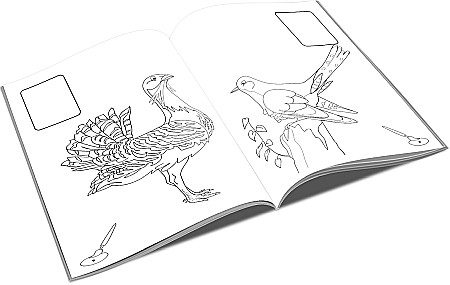 UP CARTE COLORAT A4 LIPIM SI COLORAM  PASARI [1]